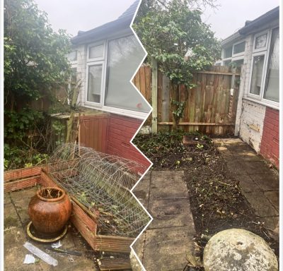 Overgrown garden area before and after clearing, featuring a pot and stone path.